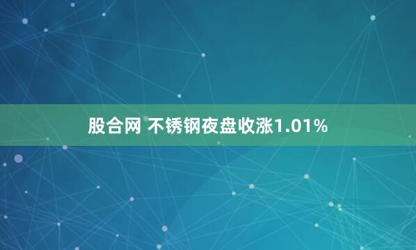 股合网 不锈钢夜盘收涨1.01%