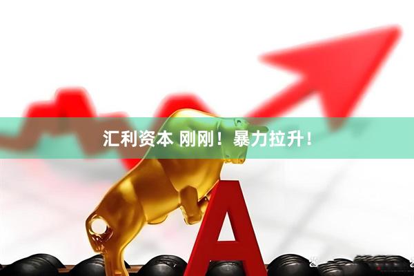 汇利资本 刚刚！暴力拉升！
